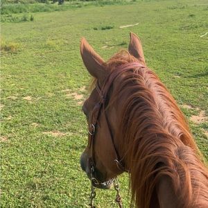 Meet your Posher, Mercedes